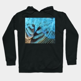 Feathers of a Indigo Bunting Hoodie